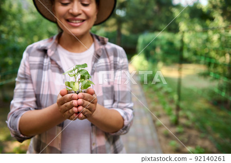 Details: Hands of a smiling woman gardener keeping young plant before planting in fertilized soil. Agricultural hobby  92140261