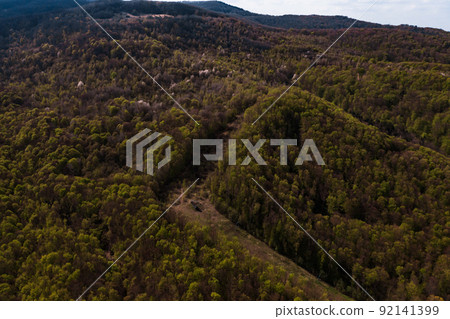 Synevyrska Polyana Natural Ukrainian National Park, coniferous evergreen forests, nature conservation and forest belt restoration. 92141399
