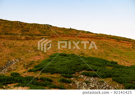 Real mornings in the Carpathians near Lake Nesamovyto, Mount Turkul and the environment. 92141425