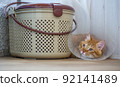 Sad red cat after sterilization operation. The frightened cat lies in a secluded place. 92141489