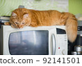 The cat is resting lying on the microwave and looking down. The red cat lies on the microwave oven. 92141501