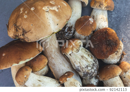 Autumn fall composition. Raw edible mushrooms Penny Bun on dark black stone shale background. Ceps over gray table. Cooking delicious organic mushroom gourmet food. Flat lay top view 92142113