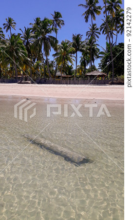 tropical beach on sunny day. paradisiac beach with blue sky and crystal water tropical beach on sunny day. paradisiac beach with blue sky and crystal water 92142279
