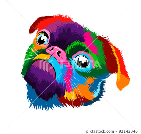 Abstract pug head portrait from multicolored paints. Dog muzzle 92142346