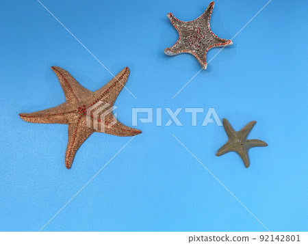 sea fish made of metal and iron. application, fish in a row are folded into a figure. starfish on a blue background hold each other sea fish made of metal and iron. application, fish in a row are folded into a figure. starfish on a blue background hold each other 92142801