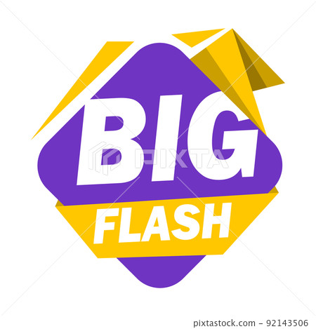 Phrase BIG FLASH, vector illustration 92143506