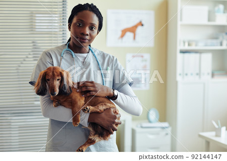 Black Young Woman Holding Dog in Vet Clinic Black Young Woman Holding Dog in Vet Clinic 92144147