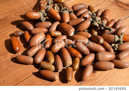 橡子秋天風景 92145689