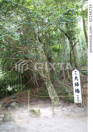 Yaegaki Shrine 92146714