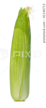 corn isolated on white background 92146715