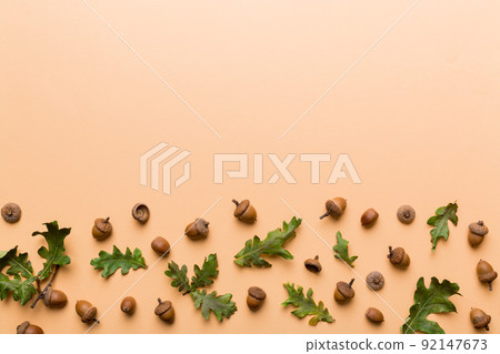 Branch with green oak tree leaves and acorns on colored background, close up top view 92147673