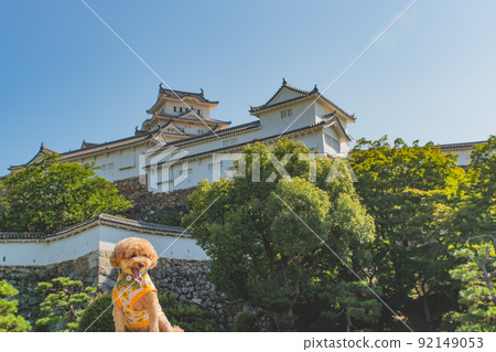 Himeji Castle and dog 92149053