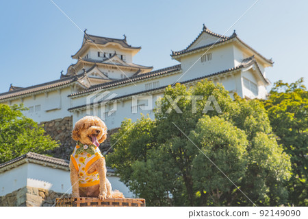 Himeji Castle and dog Himeji Castle and dog 92149090