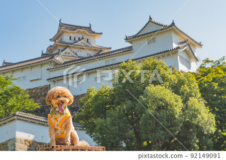 Himeji Castle and dog Himeji Castle and dog 92149091