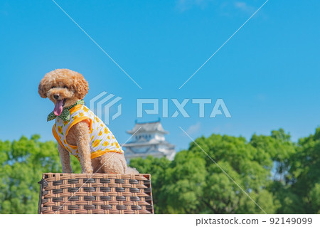 姬路城和狗 92149099