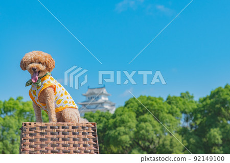 姬路城和狗 92149100