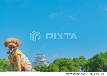 姬路城和狗 92149101