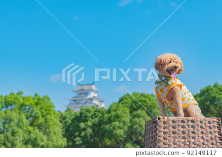 姬路城和狗 92149117