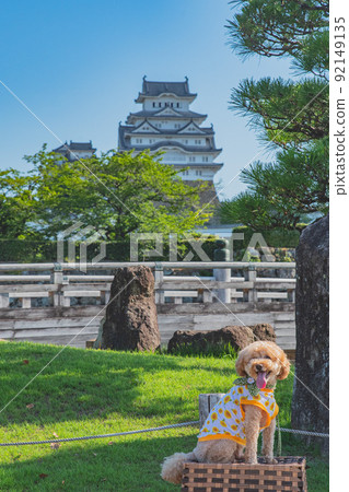 Himeji Castle and dog Himeji Castle and dog 92149135
