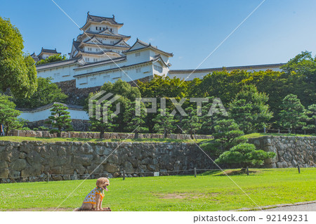 姬路城和狗 92149231