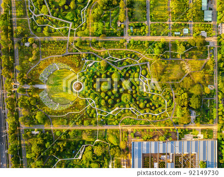 Benjakitti Park or Benchakitti forest park new design walkway in central Bangkok, Thailand 92149730