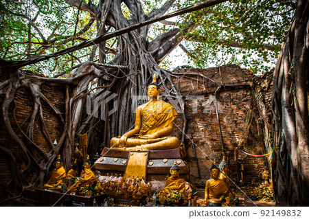Wat Sai temple ruin covered by banyan tree roots, in Sing Buri Thailand Wat Sai temple ruin covered by banyan tree roots, in Sing Buri Thailand 92149832