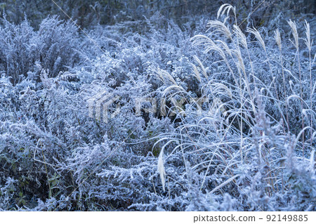 Late autumn in Kamikochi Rime 92149885