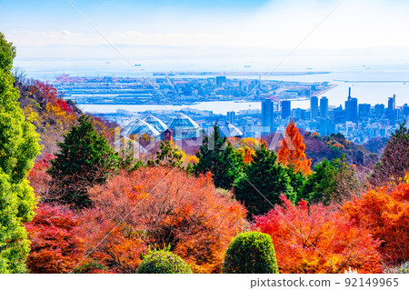 濃濃的藥草園的秋葉和神戶的城市景觀 濃濃的藥草園的秋葉和神戶的城市景觀 92149965