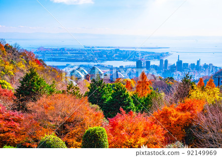 濃濃的藥草園的秋葉和神戶的城市景觀 92149969