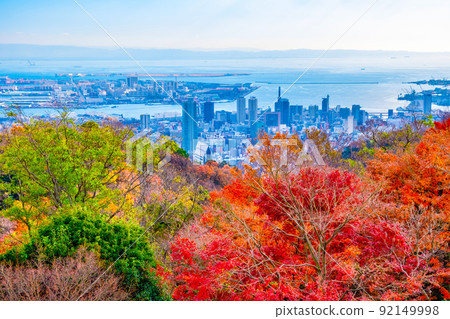 濃濃的藥草園的秋葉和神戶的城市景觀 92149998