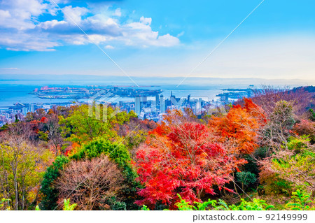 濃濃的藥草園的秋葉和神戶的城市景觀 92149999