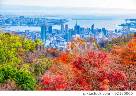 濃濃的藥草園的秋葉和神戶的城市景觀 92150000