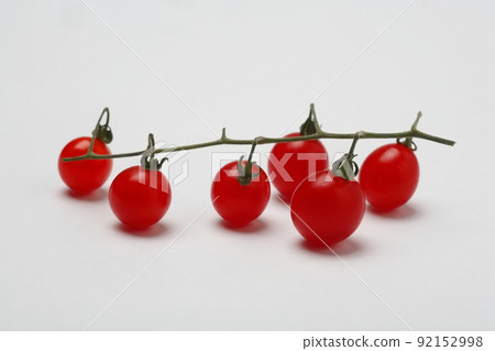 Cute petit tomatoes, micro tomatoes Cute petit tomatoes, micro tomatoes 92152998