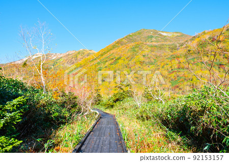 Tsugaike Nature Garden (Autumn) 92153157