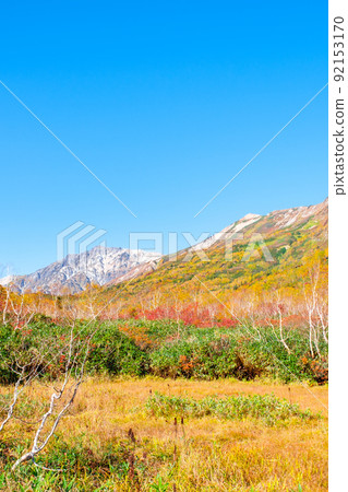 Tsugaike Nature Garden (Autumn) Tsugaike Nature Garden (Autumn) 92153170