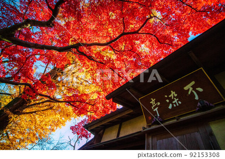 Koedo Kawagoe's Autumn Leaves Nakain Fusetei 92153308