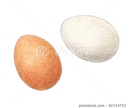 白色和棕色雞蛋水彩鉛筆插圖背景透明 92154733