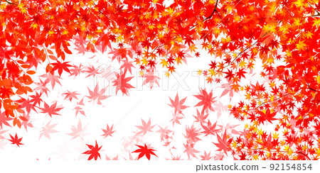  秋葉槭樹秋天背景 92154854