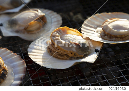 Scallop  92154980