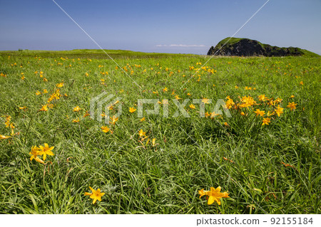 Fujino Garden 92155184