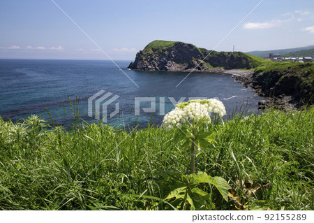 藤野花園 92155289