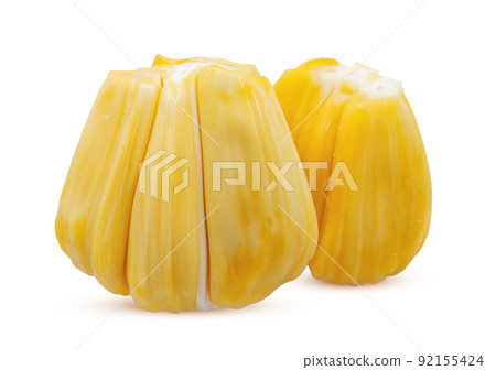 Single object of Jackfruit isolated on white background 92155424