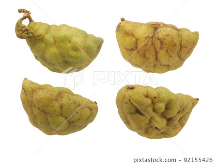 Cynometra cauliflora fruits isolated on white background 92155426
