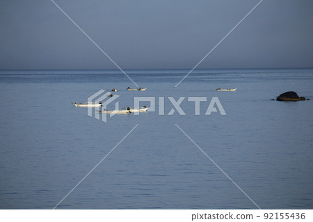 海膽捕撈 92155436