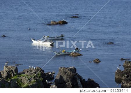 海膽捕撈 海膽捕撈 92155444