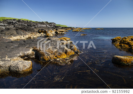 利尻海岸 92155992