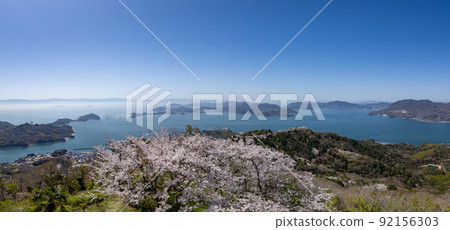 Sakura on the summit of Mt. Sekizen (Iwagi Island, Ehime Prefecture) 92156303