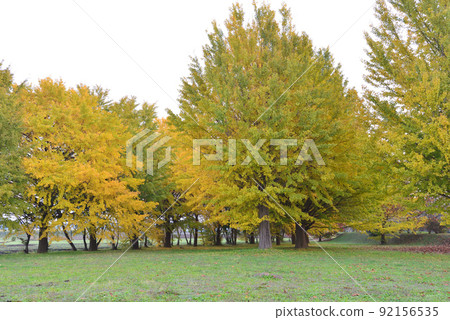 我去了長鄉公園#21 92156535