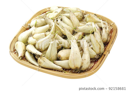 大蔥泥_05(帶通) 大蔥泥_05(帶通) 92158681