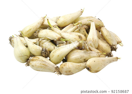 大蔥泥_07(帶通) 大蔥泥_07(帶通) 92158687